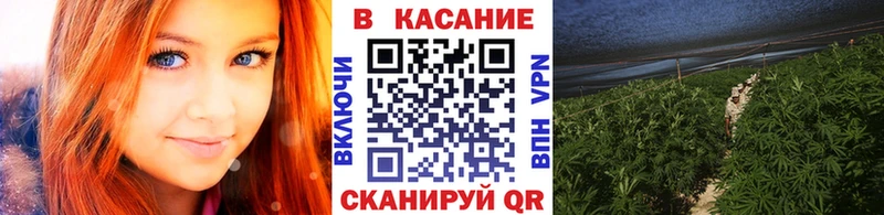 Купить наркоту Зима Конопля Альфа ПВП ГАШИШ Кокаин