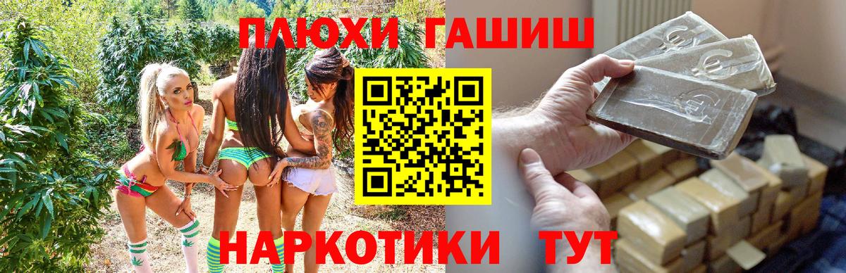 ГАШ гарик  сколько стоит  Зима  ГАШ Ice-O-Lator  Вход с VPN 