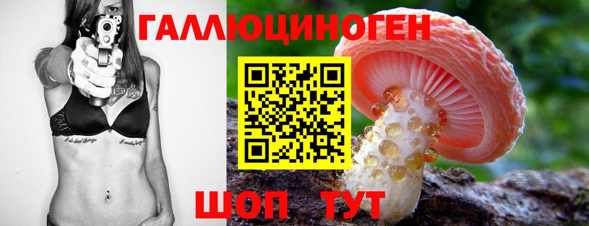Псилоцибиновые грибы GOLDEN TEACHER  Галлюциногенные грибы GOLDEN TEACHER  Вход с VPN  Зима 